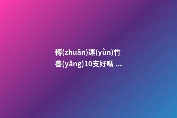 轉(zhuǎn)運(yùn)竹養(yǎng)10支好嗎 9支好還是10支好